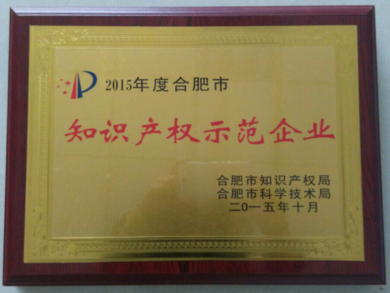知识产权示范企业